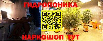 стафф Обнинск