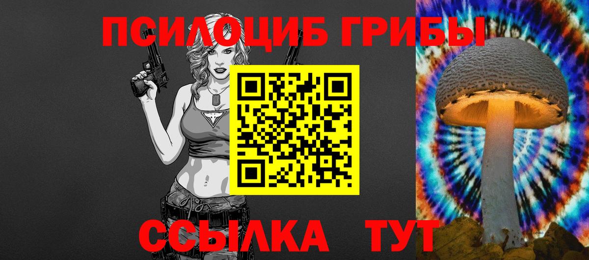 Псилоцибиновые грибы Psilocybine cubensis  Вход с VPN  купить наркотики сайты  Новотроицк 
